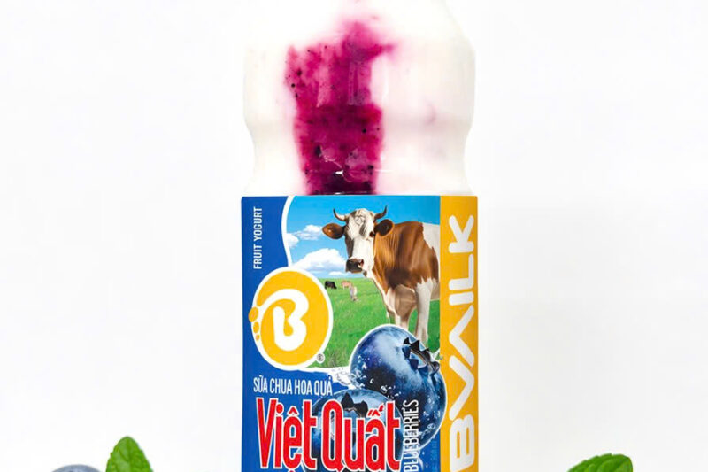 Sữa chua hoa quả việt quất
